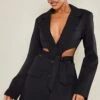 Prettylittlething Black Plunge Side Cut Out Tie Detail Blazer Dress 10 Prettylittlething Black Plunge Side Cut Out Tie Detail Blazer Dress -Pretty Little Thing Shop 0cc5854772b02ff6f6d93943fcd9e5d26bb3270b cnb9168 1