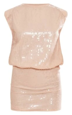 Prettylittlething Nude Sequin Shoulder Pad Sleeveless Bodycon Dress -Pretty Little Thing Shop 4ab9e70ad01453f16cec32befc4bcd8d039dc498 cng5046 5