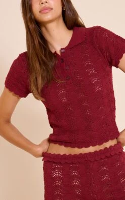 Prettylittlething Burgundy Crochet Polo Neck Top -Pretty Little Thing Shop 550b61e727de5feb6fe67dd0ea7aa7ea7e79f42b CNN6395 4 plum crochet polo neck top
