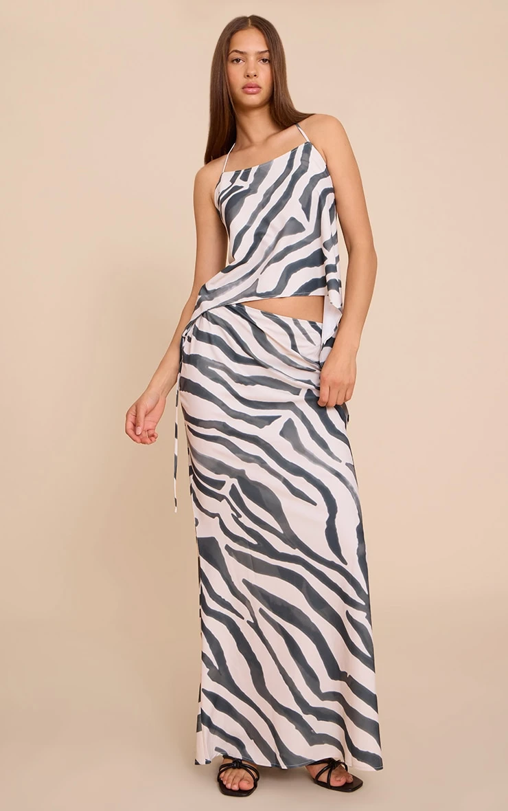 Prettylittlething Zebra Print Floaty Woven Tie Side Low Rise Maxi Skirt