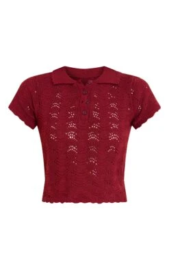 Prettylittlething Burgundy Crochet Polo Neck Top -Pretty Little Thing Shop 6742661644e7c701e9d3711f145e58206f42923d CNN6395 5 plum crochet polo neck top