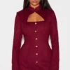 Prettylittlething Burgundy Brushed Woven Long Sleeve Button Detail Mini Dress 11 Prettylittlething Burgundy Brushed Woven Long Sleeve Button Detail Mini Dress -Pretty Little Thing Shop 7203c078a097122f22674cc90b7ba6d682aca4f7 cnl8915 1