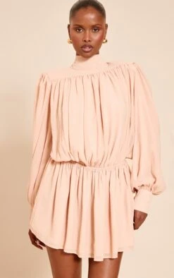 Blush Structured Chiffon Long Sleeve Shift Dress