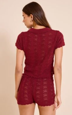 Prettylittlething Burgundy Crochet Polo Neck Top -Pretty Little Thing Shop e503e40d0ebba125db90c317b49a86769635fab4 CNN6395 2 plum crochet polo neck top